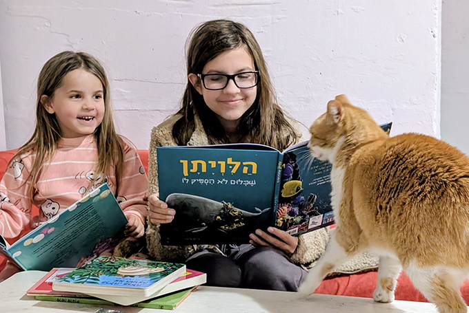 ספרייה עד המקלט: יוזמה חדשה בעפולה מביאה את הספרים עד למרחבים המוגנים